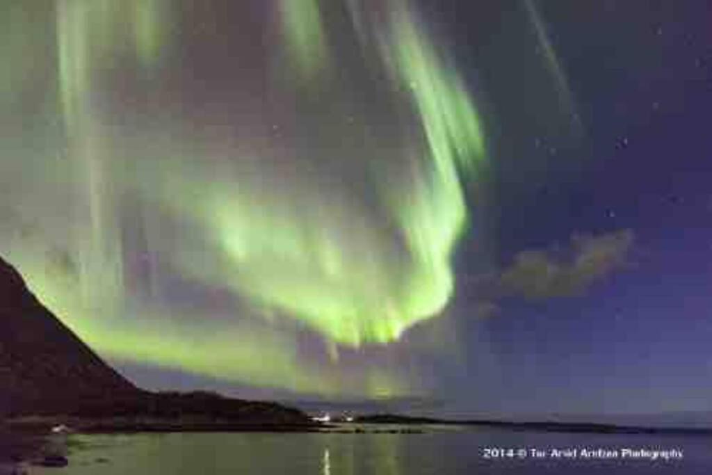 Cozy House - Stronstad @The Start Of Lofoten Stronstad i Vesteralen Luaran gambar
